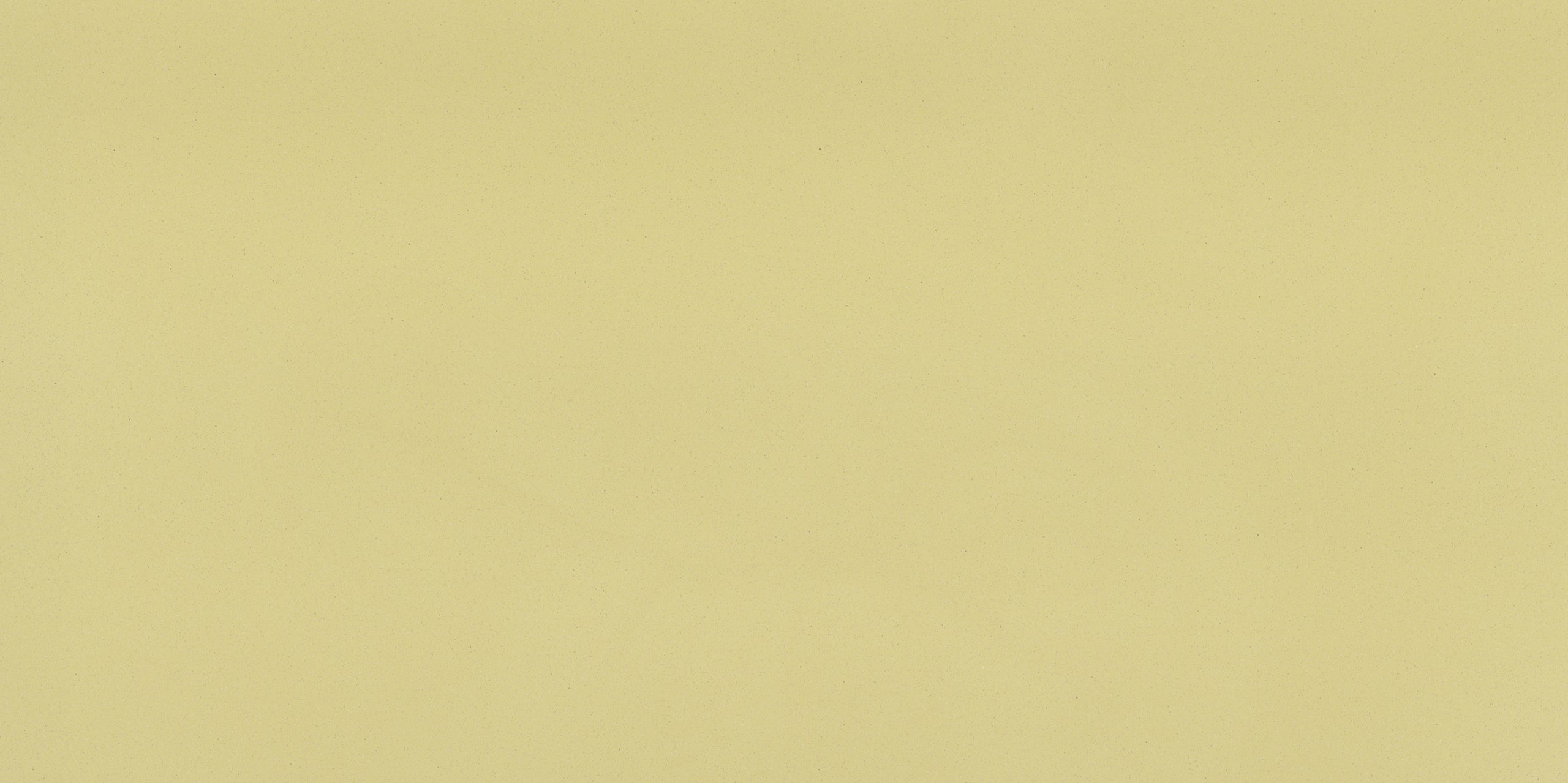 1111_Vivid White