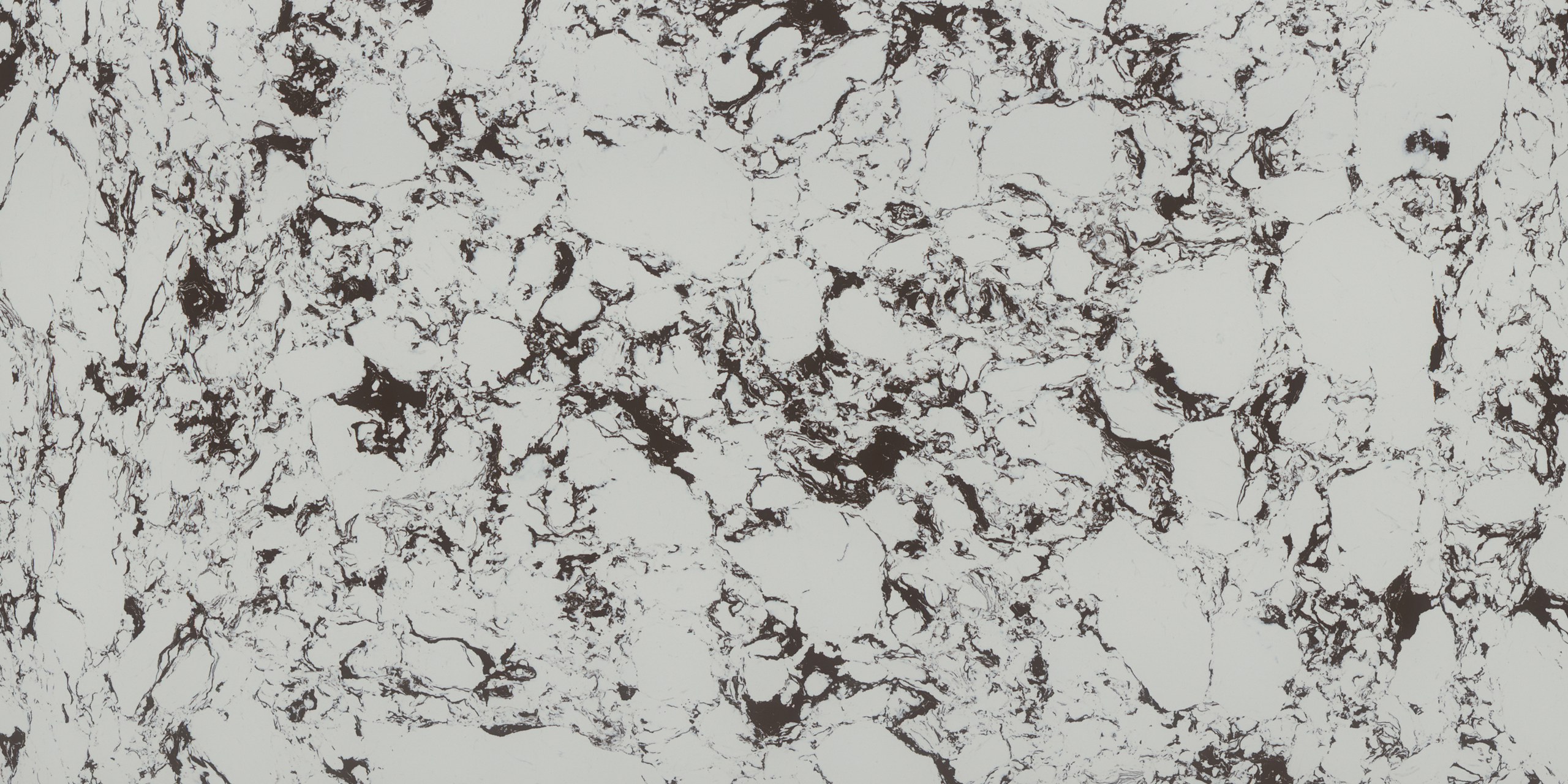 1111_Vivid White
