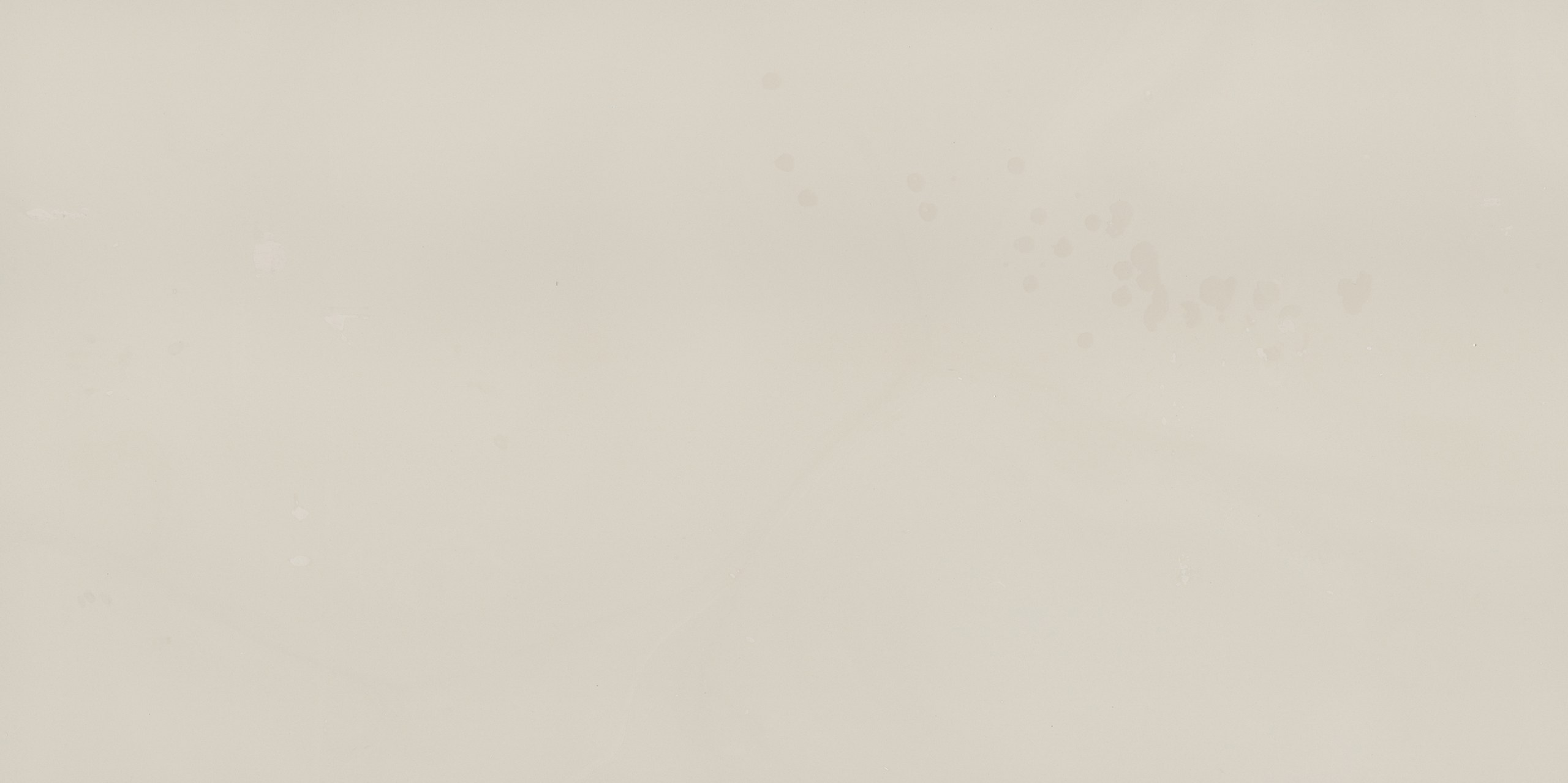 1111_Vivid White