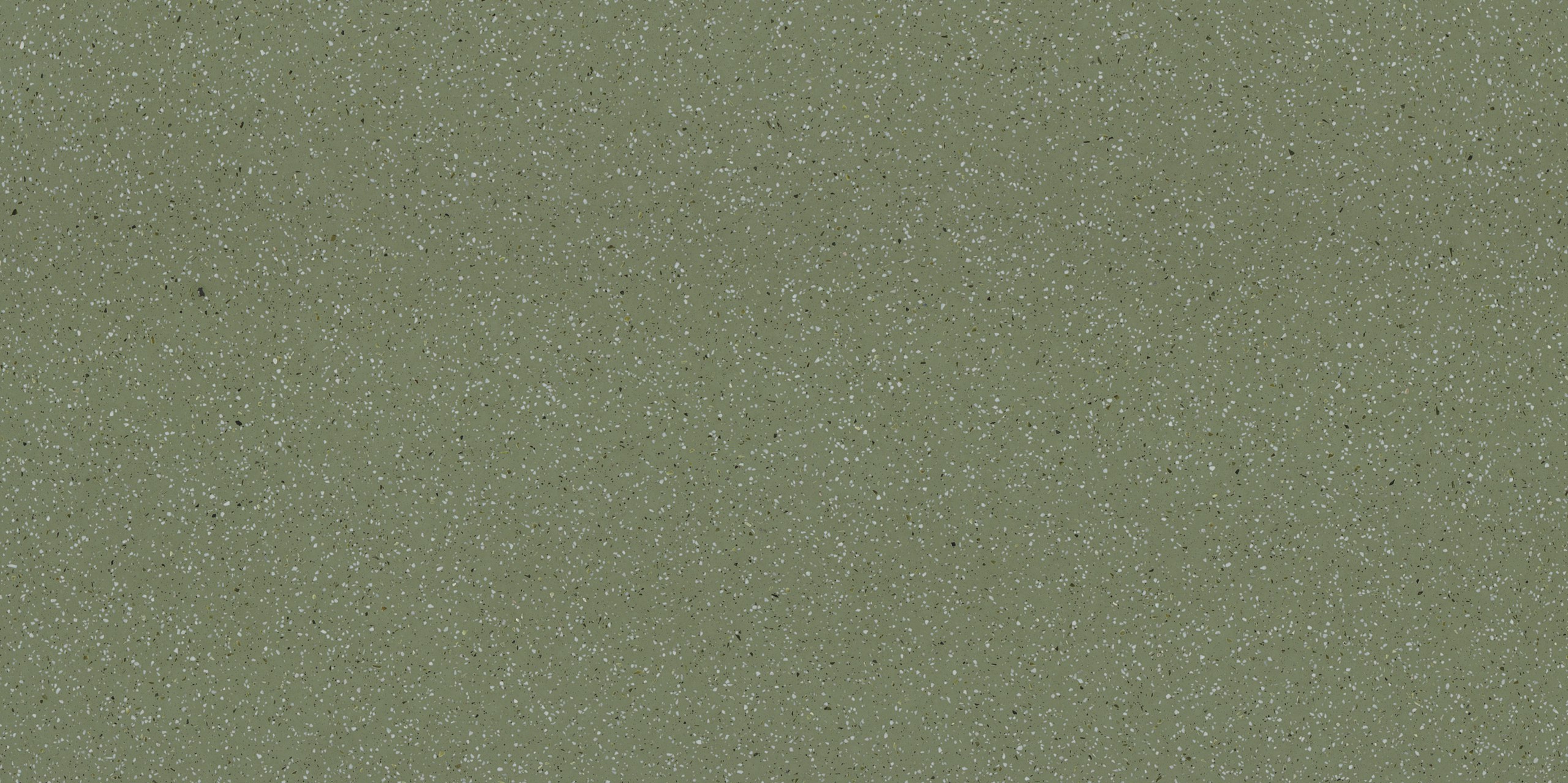 1111_Vivid White