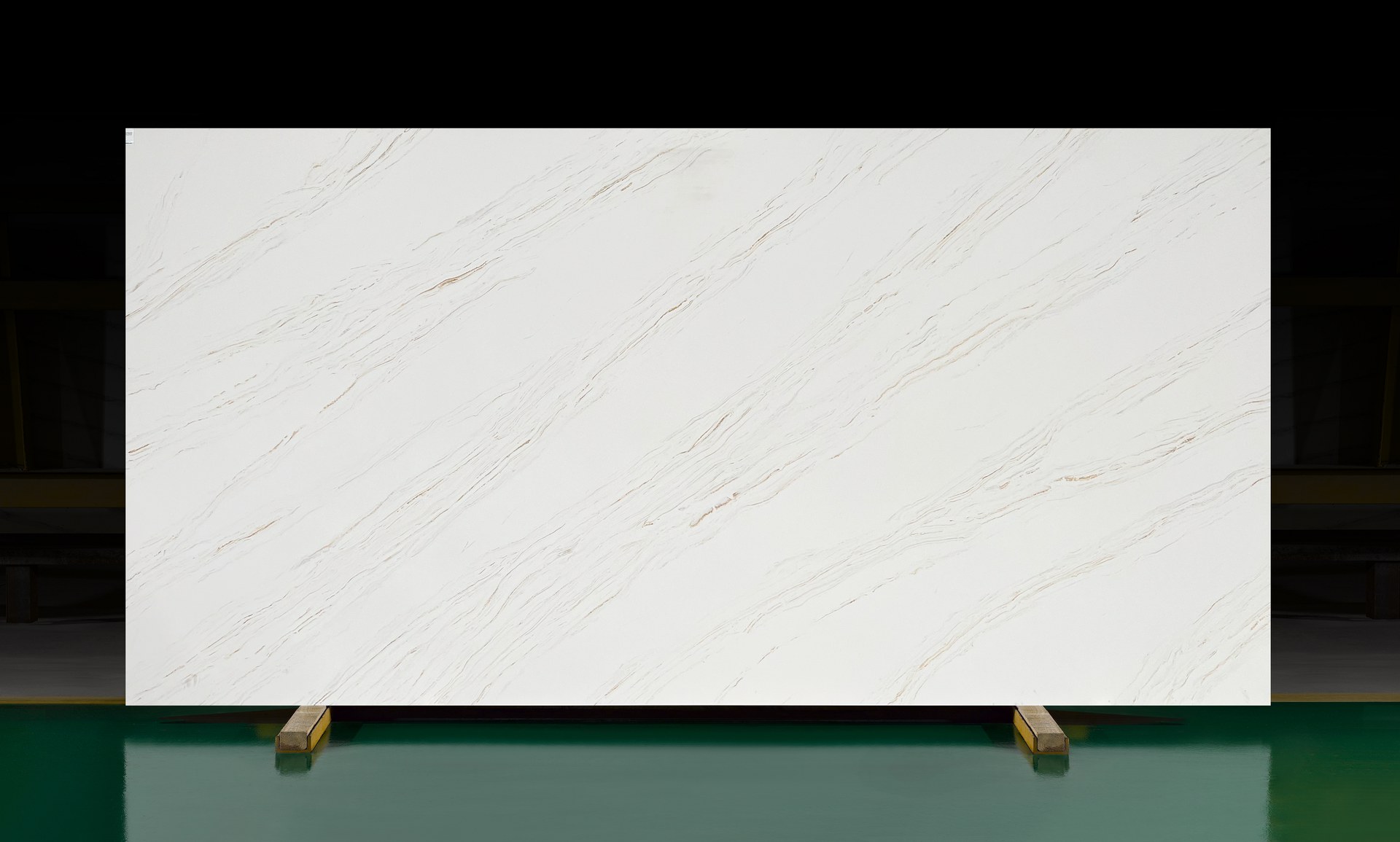 1111_Vivid White